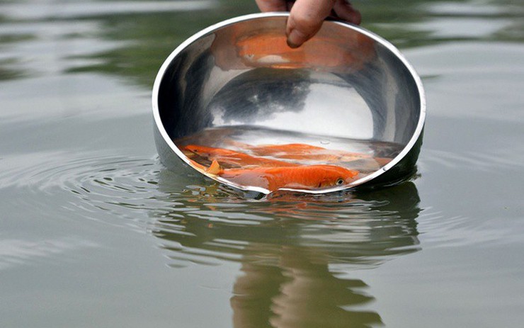 ông công ông táo ngày nào