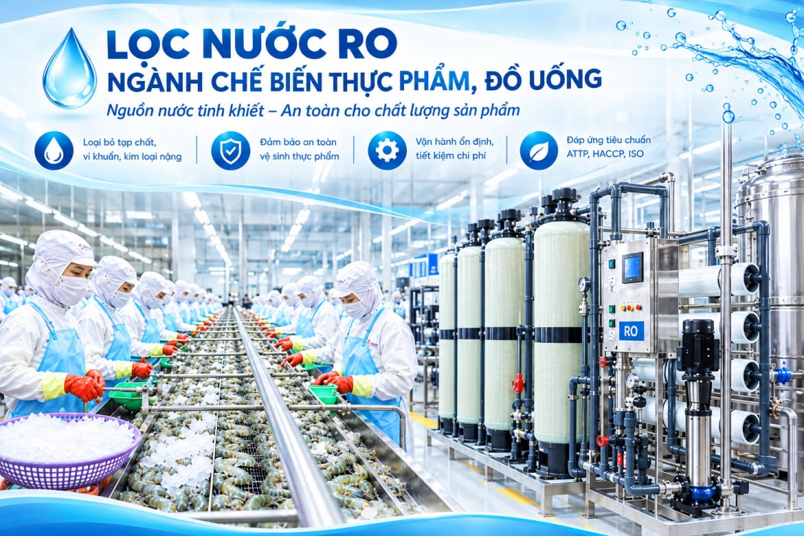 Hệ thống lọc nước RO chế biến thực phẩm là gì?