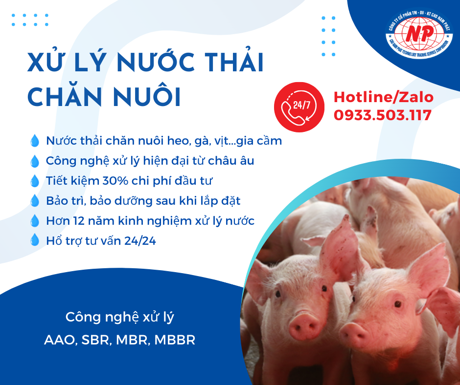 xử lý nước thải chăn nuôi heo