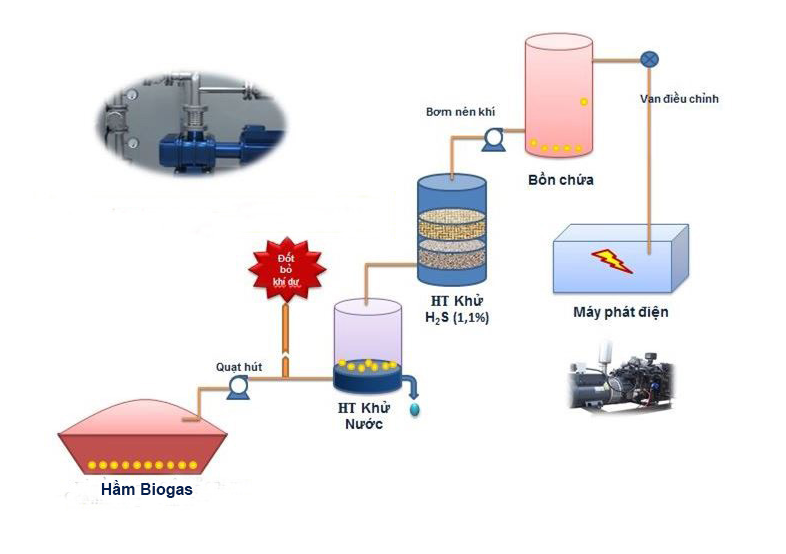 Phương pháp xử lý nước thải chăn nuôi heo bằng biogas