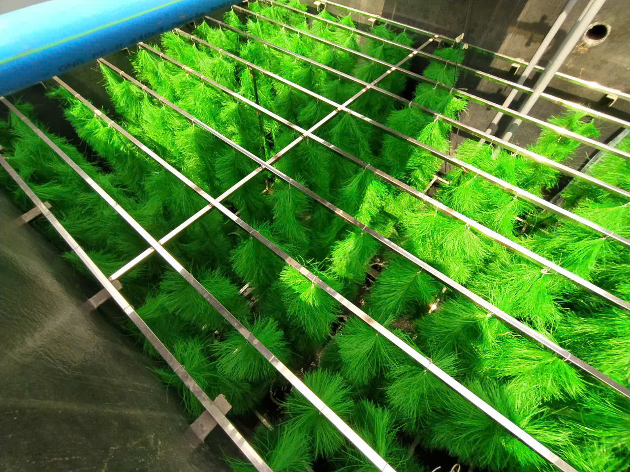 cải tạo hệ thống xử lý nước thải