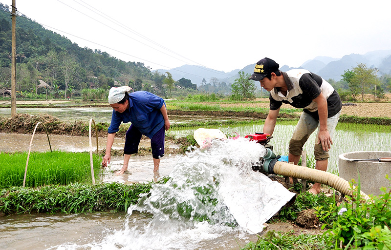 nguồn nước trong sản xuất nông nghiệp