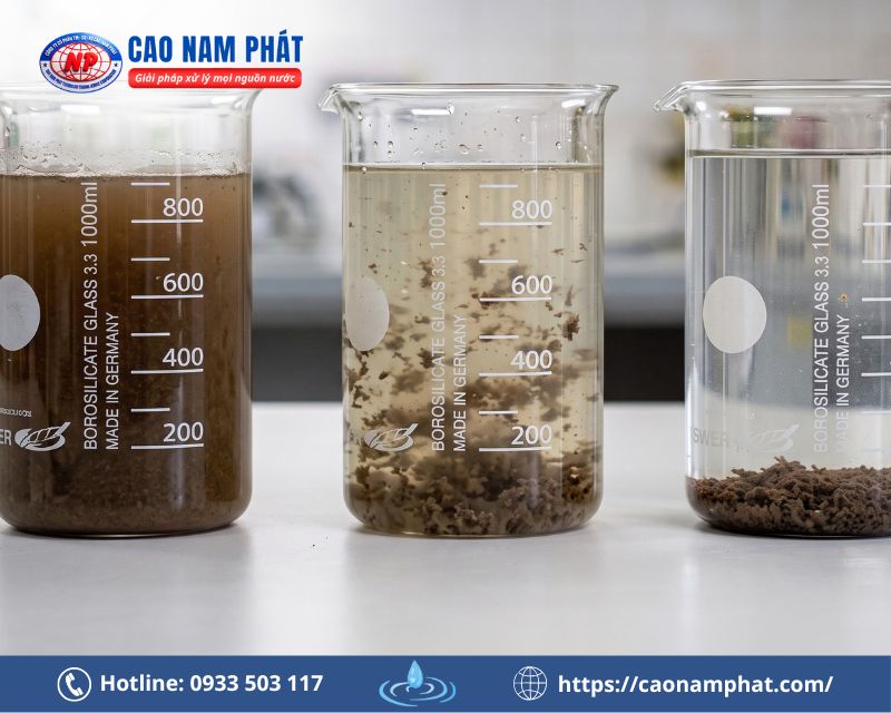 Phương pháp keo tụ tạo bông