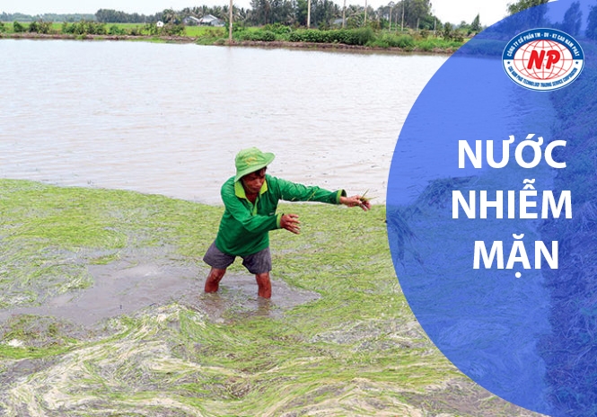Công nghệ xử lý nước Nhiễm Mặn