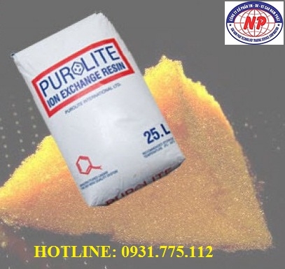 Mua hạt nhựa trao đổi ion C100-Purolite tại Bình Dương