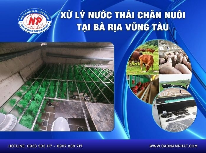 Xử lý nước thải chăn nuôi tại Bà Rịa Vũng Tàu