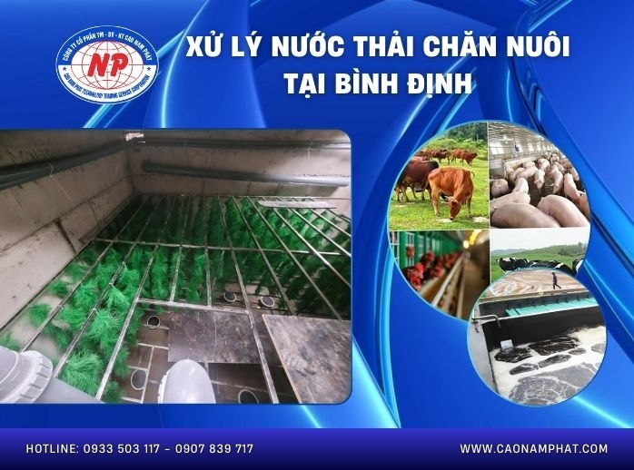 Xử lý nước thải chăn nuôi tại Bình Định