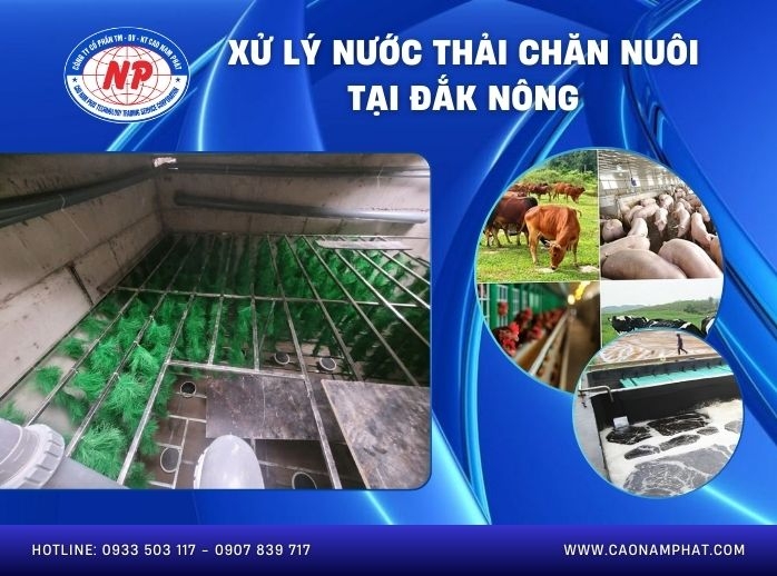 Xử lý nước thải chăn nuôi tại Đắk Nông