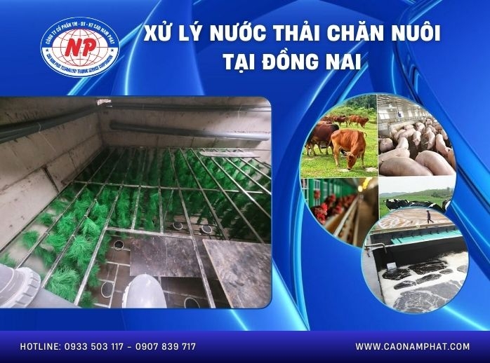 Xử lý nước thải chăn nuôi tại Đồng Nai