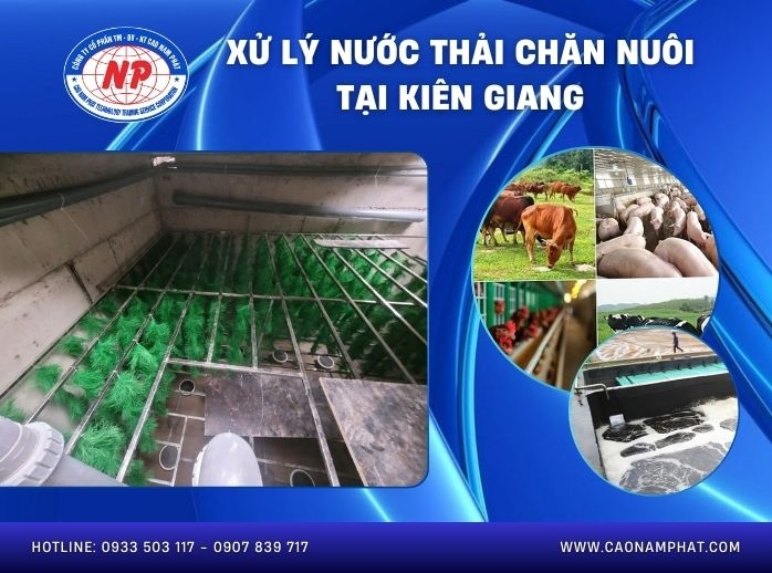 Xử lý nước thải chăn nuôi tại Kiên Giang