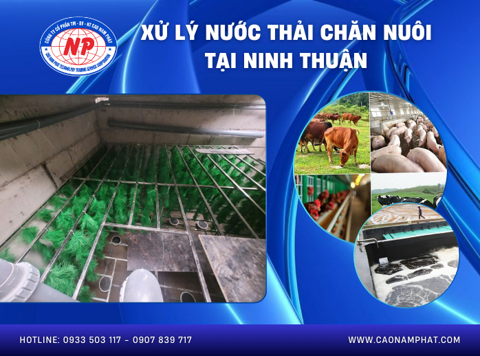 Xử lý nước thải chăn nuôi tại Ninh Thuận