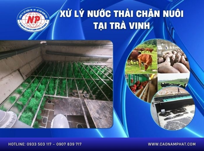 Xử lý nước thải chăn nuôi tại Trà Vinh