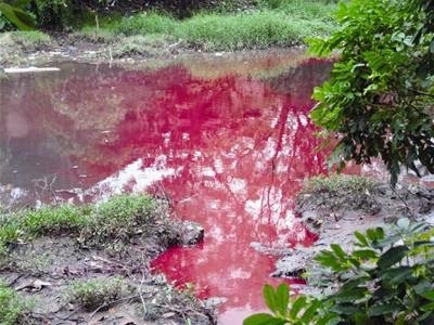 Xử Lý Nước Thải Dệt Nhuộm