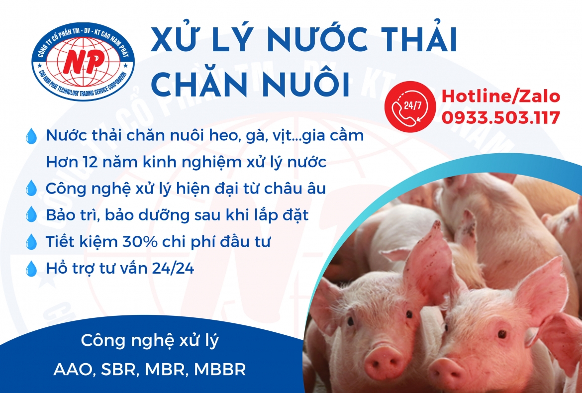 Xử lý nước thải chăn nuôi